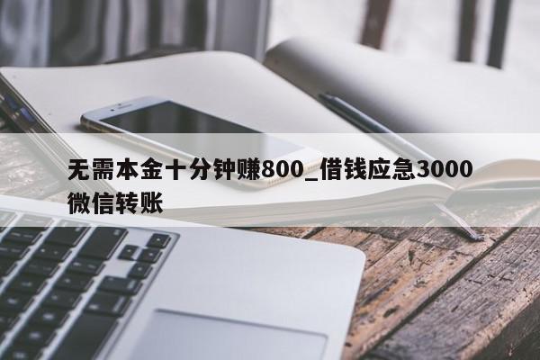 无需本金十分钟赚800_借钱应急3000微信转账